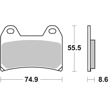 Гальмівні колодки SBS Track Days Front Brake Pads